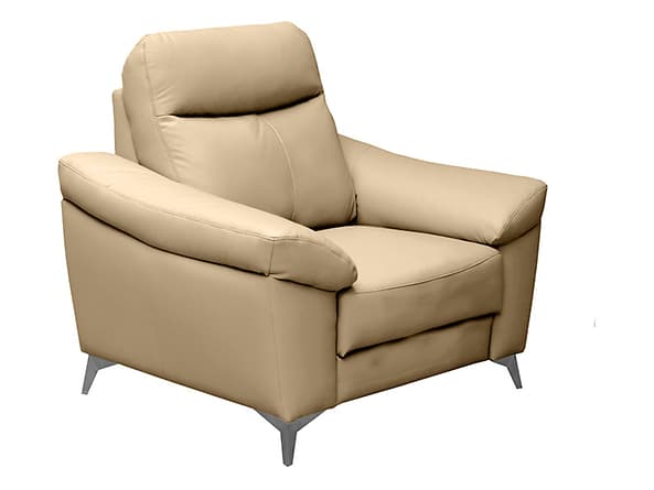 Tradiční křeslo Luna BRW Sofa látka DES-FO-LUNA-1-SK+ECO