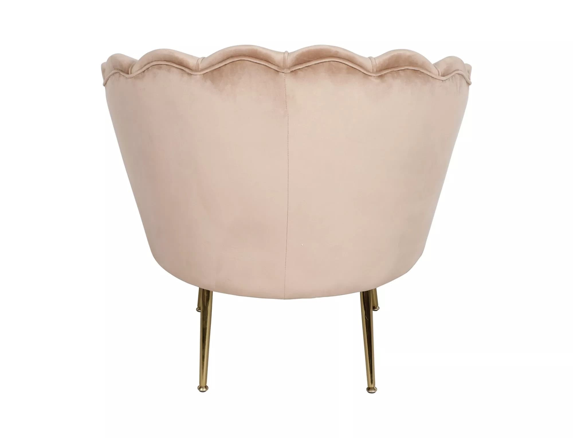 Designové křeslo Camellia samet, Béžové 5
