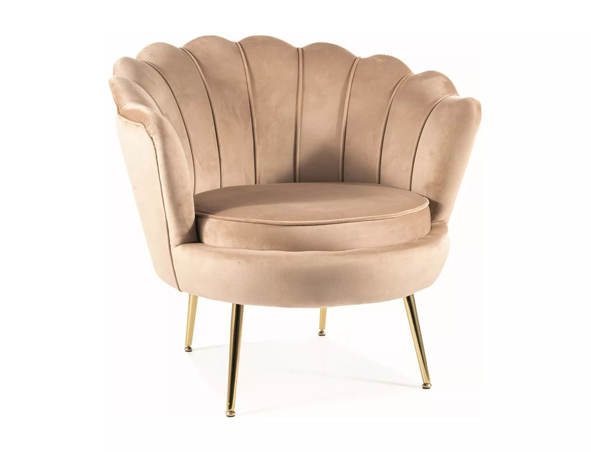 Designové křeslo Camellia samet, Béžové